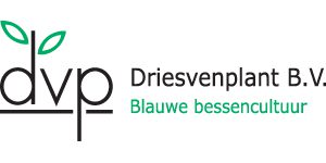 logo-dvp-website